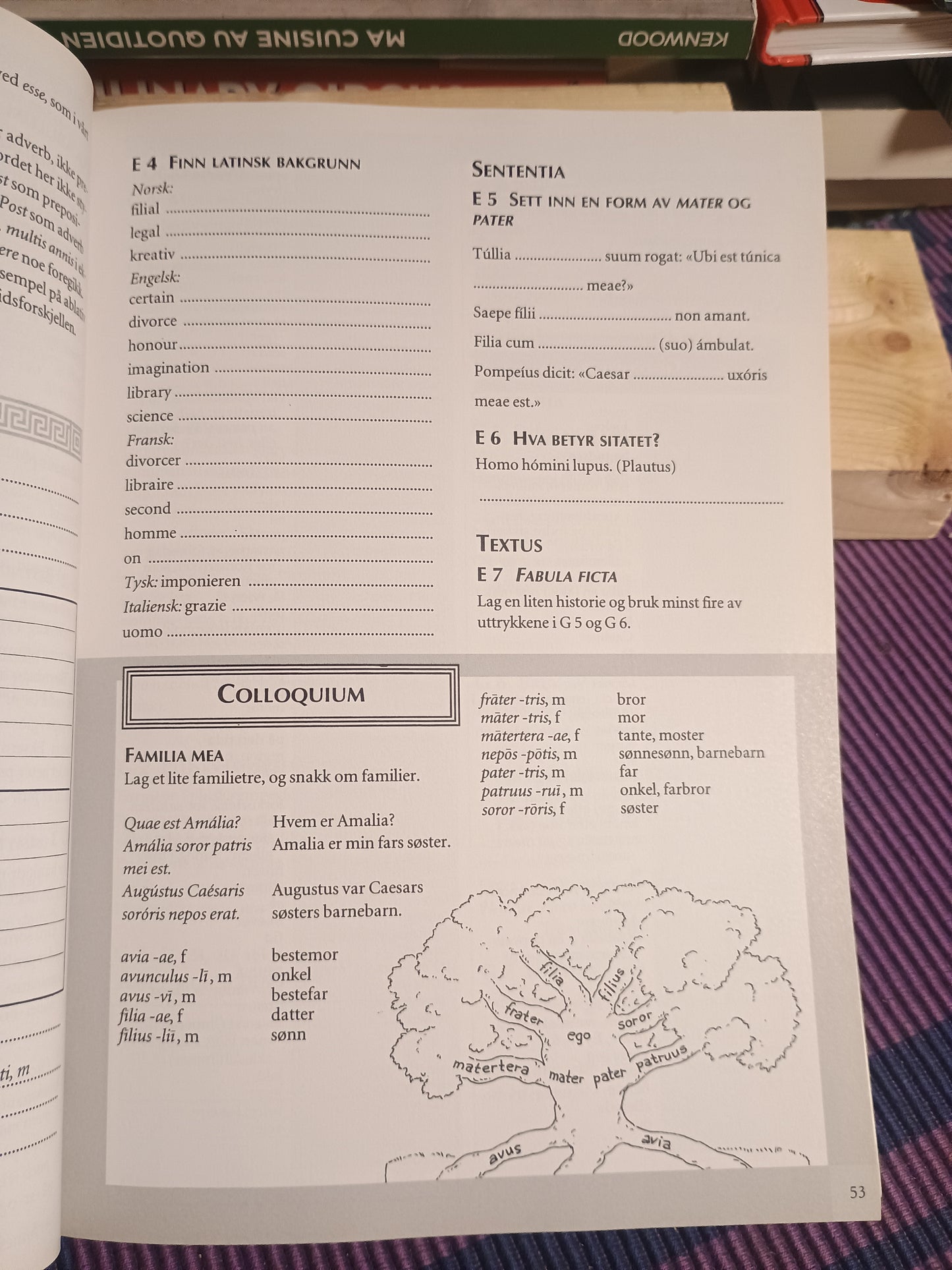 Omnibus 1: Arbeidsbok. Vibeke Roggen