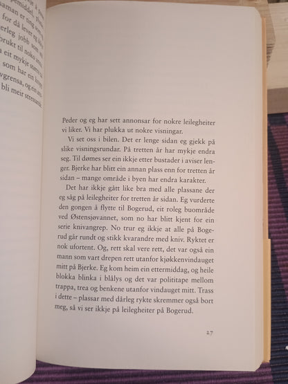 Blokka på Bjerke: Tretten år i tredje etasje, Bjørn Hatterud
