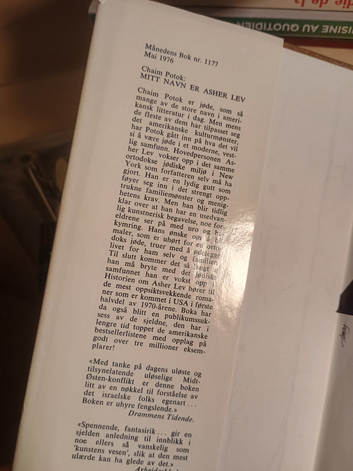 Mitt navn er Asher Lev, Chaim Potok
