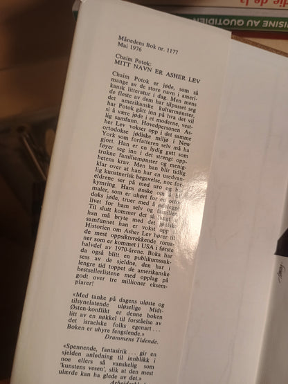 Mitt navn er Asher Lev, Chaim Potok