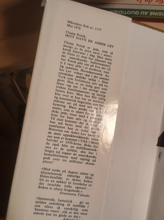 Mitt navn er Asher Lev, Chaim Potok