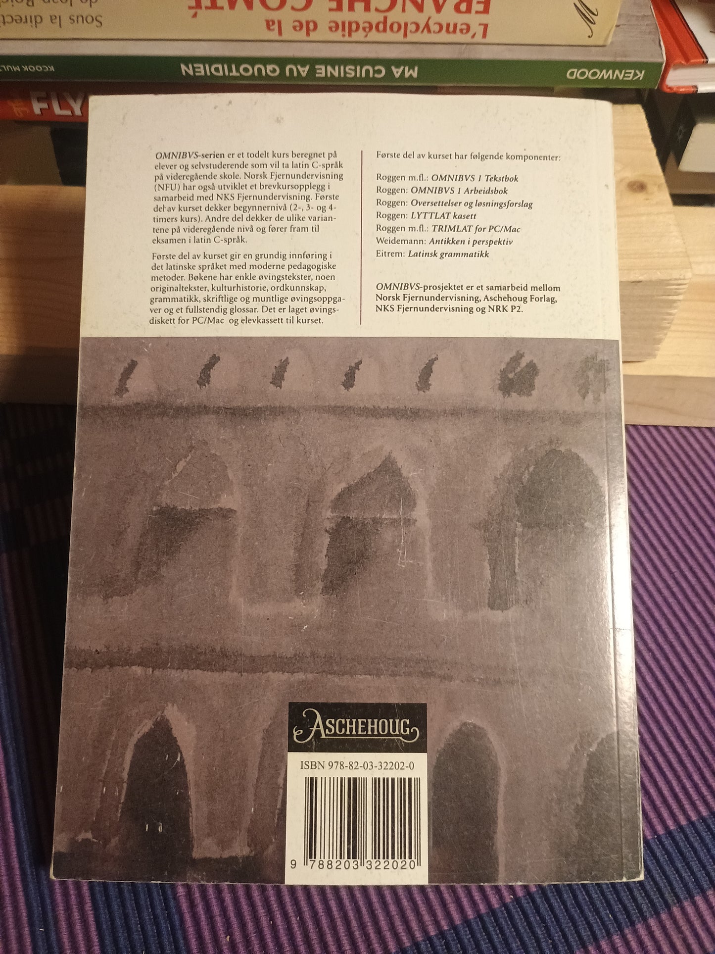 Omnibus 1: Arbeidsbok. Vibeke Roggen