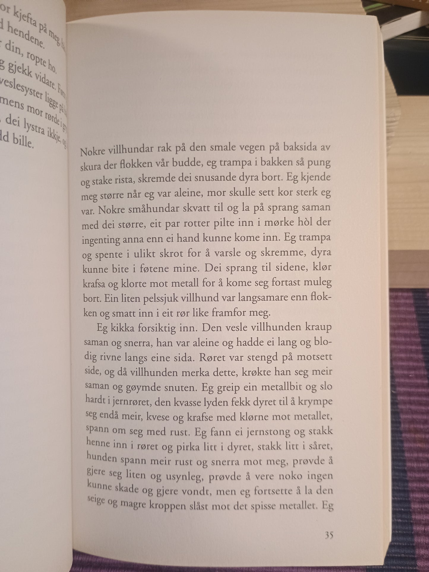 Fiolinane, Jan Roar Leikvoll