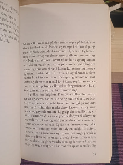 Fiolinane, Jan Roar Leikvoll