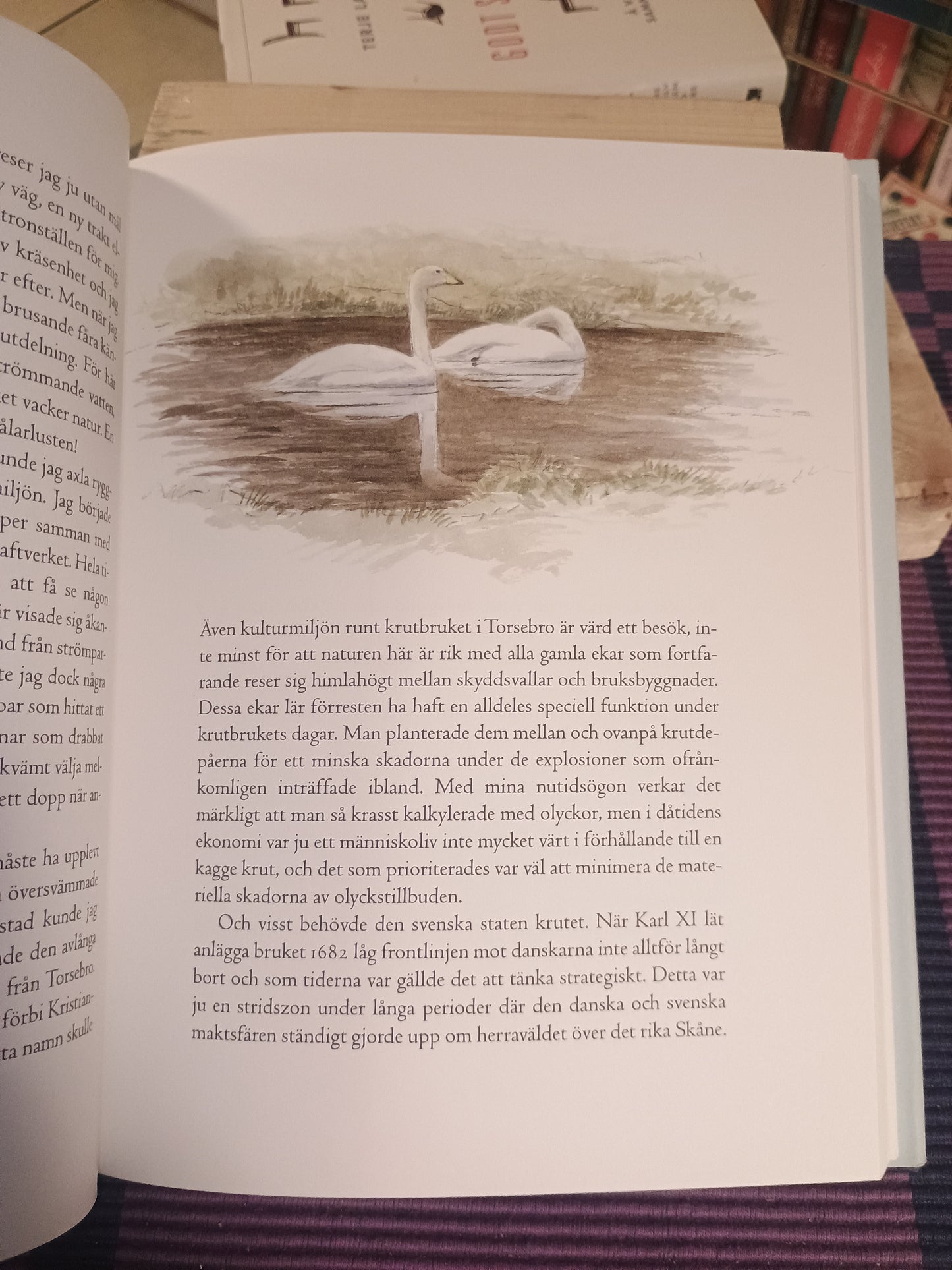 Skånska utflukter, Peter Larsson