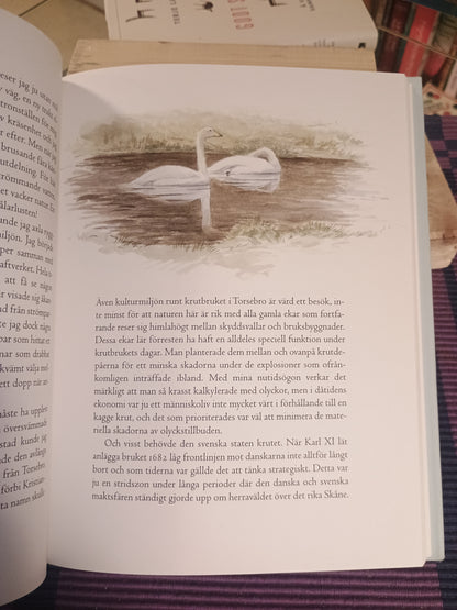 Skånska utflukter, Peter Larsson