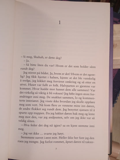 Den stumme gutten, Parinoush Saniee