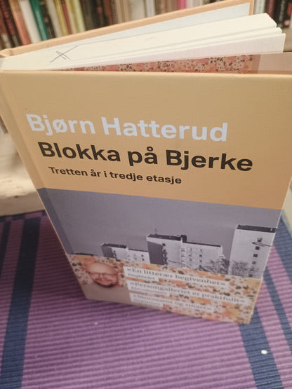 Blokka på Bjerke: Tretten år i tredje etasje, Bjørn Hatterud