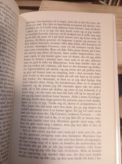 De endeløse planen, Isabel Allende