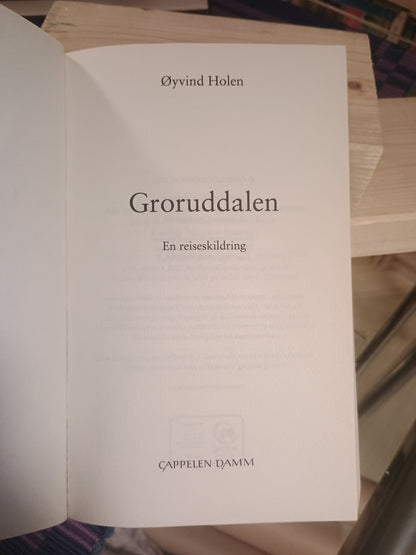 Groruddalen: En reiseskildring, Øyvind Holen