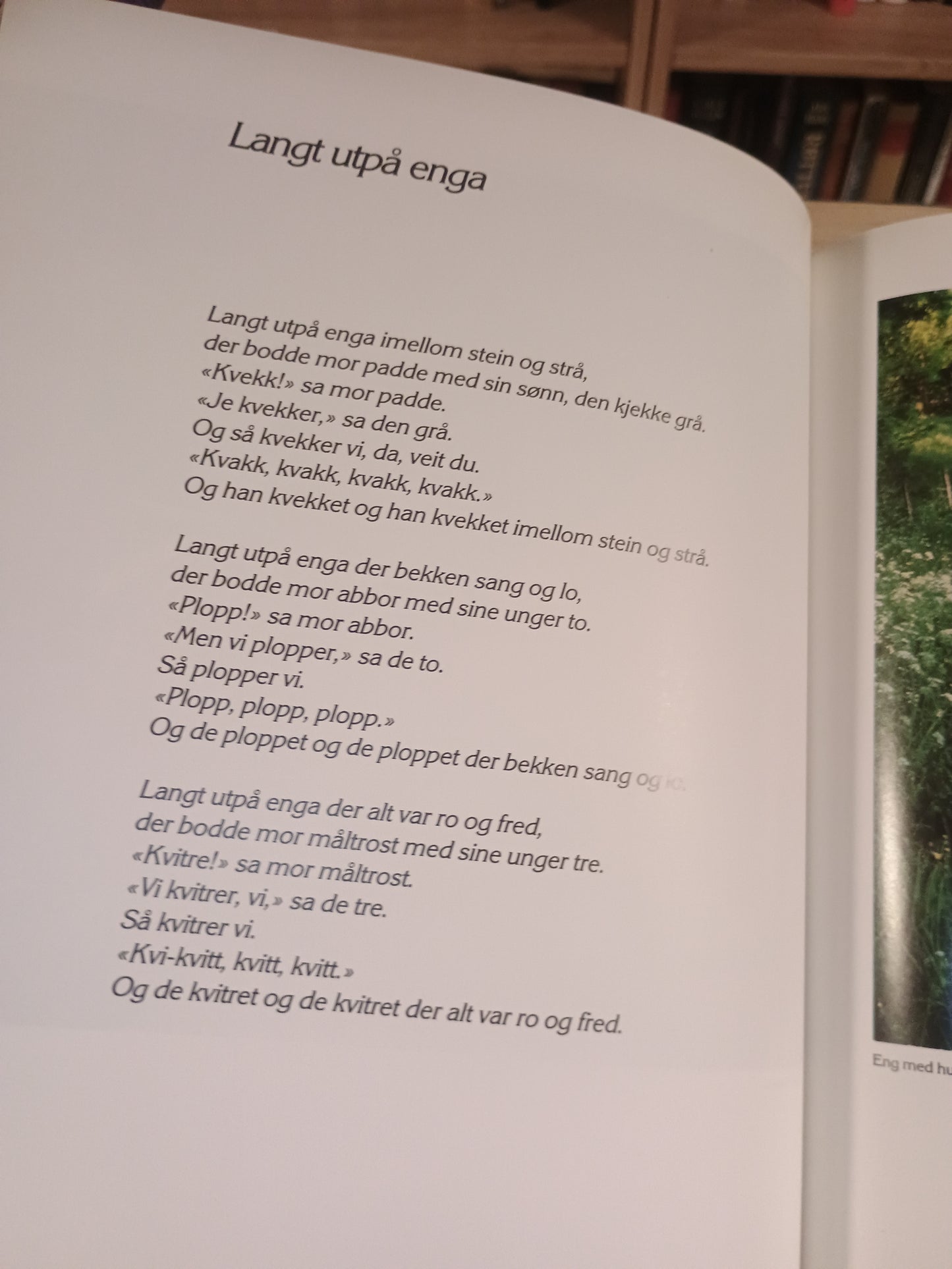 Finn et strå og træ dom på: Alf Prøysens blomster og planter i dikt og bilder, Klaus Høiland