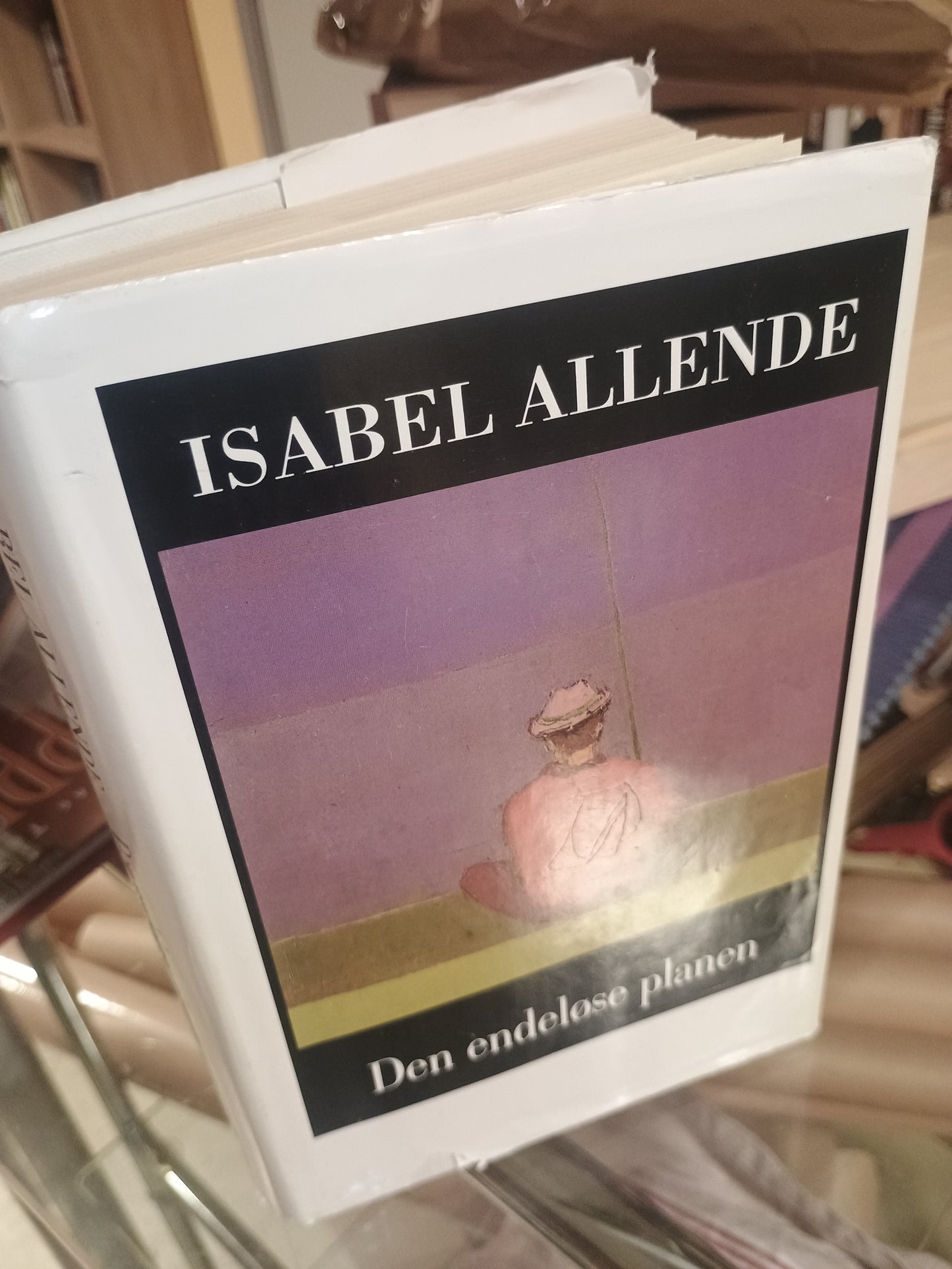 De endeløse planen, Isabel Allende
