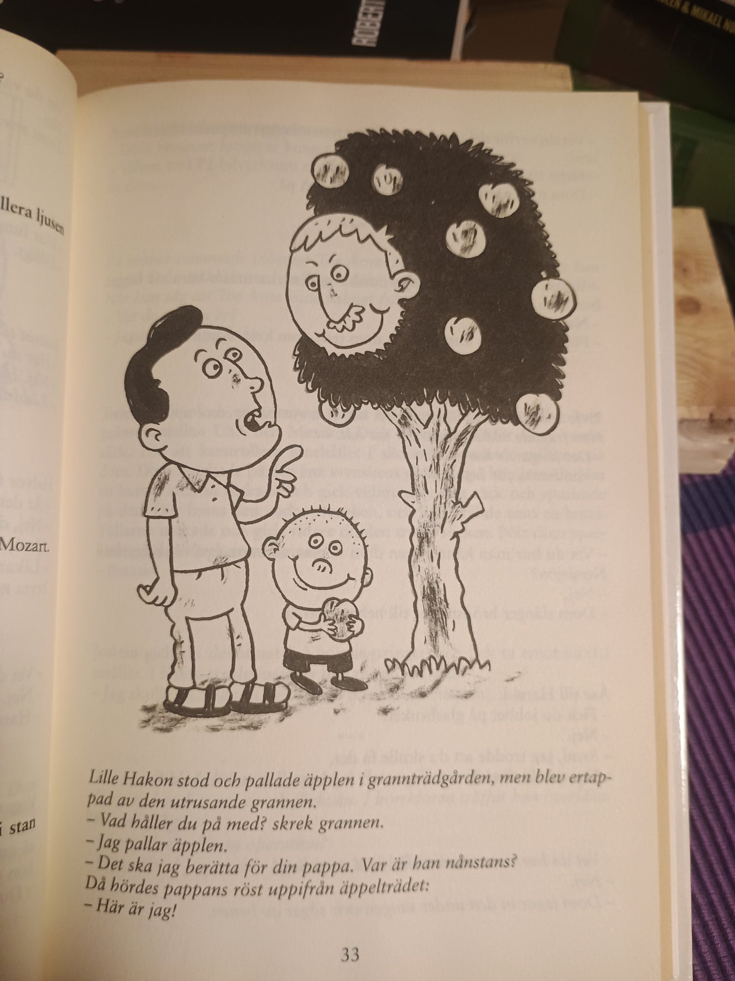 Stora boken med norgeshistorien, Andreas Nyberg