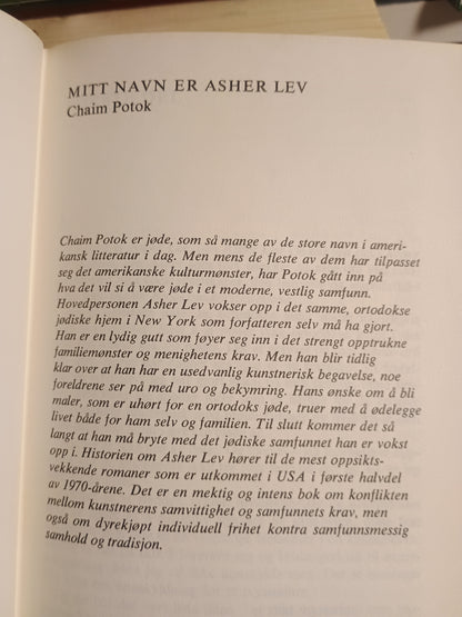Mitt navn er Asher Lev, Chaim Potok