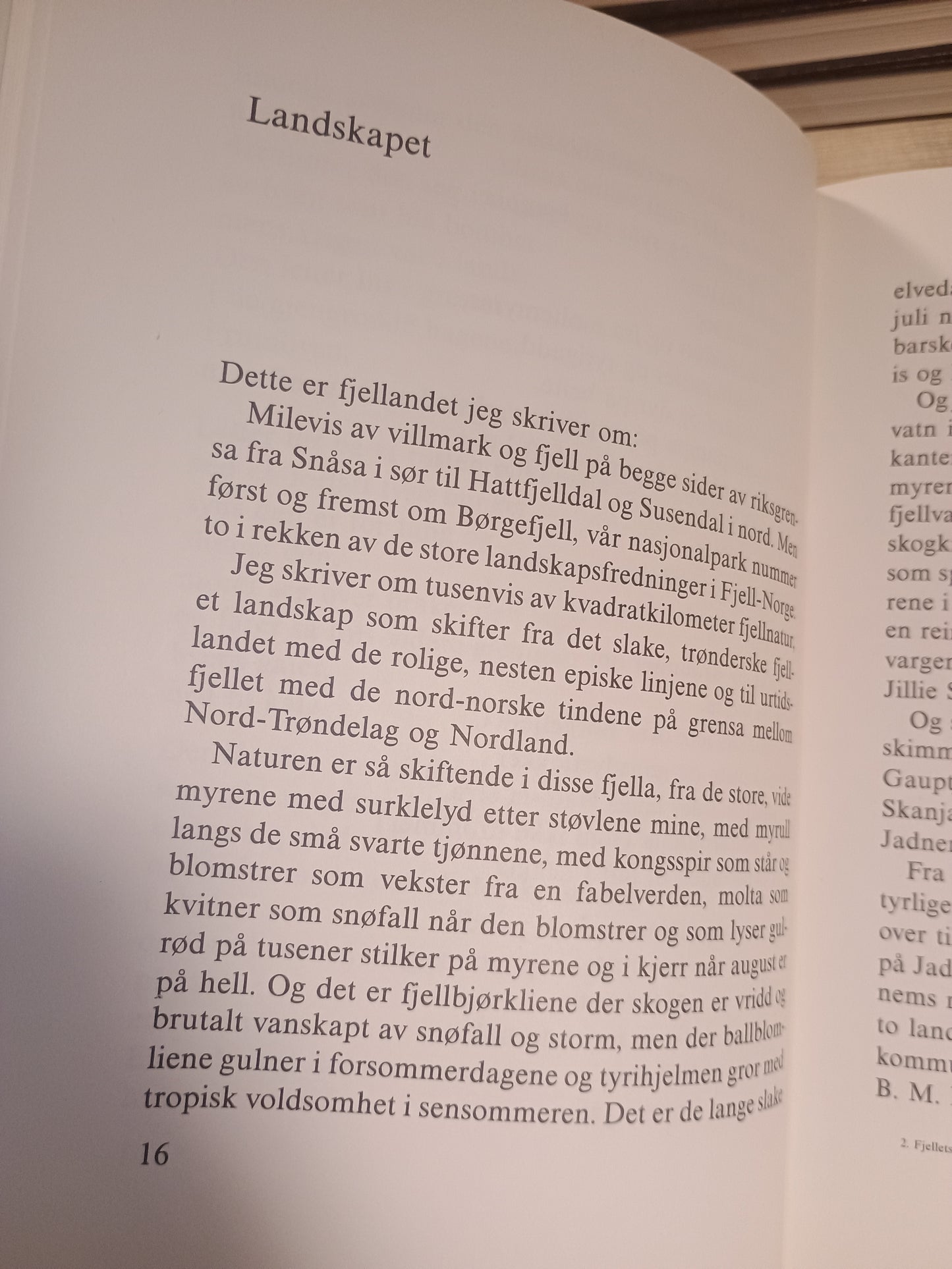 Fjellets lasso rundt mitt hjerte, Guttorm Hansen