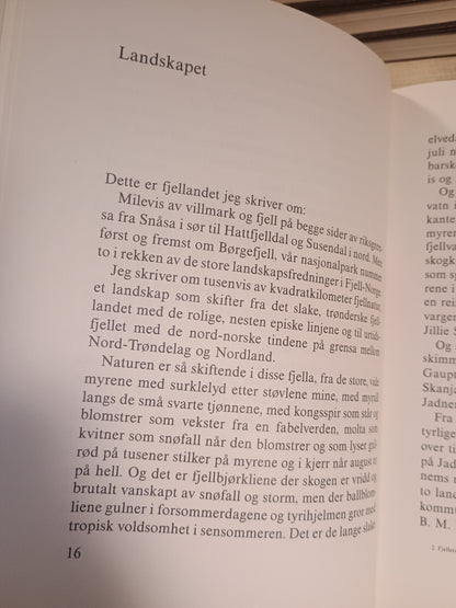 Fjellets lasso rundt mitt hjerte, Guttorm Hansen