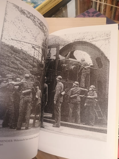 Krysseren Blücher, Alf R. Jacobsen bsen