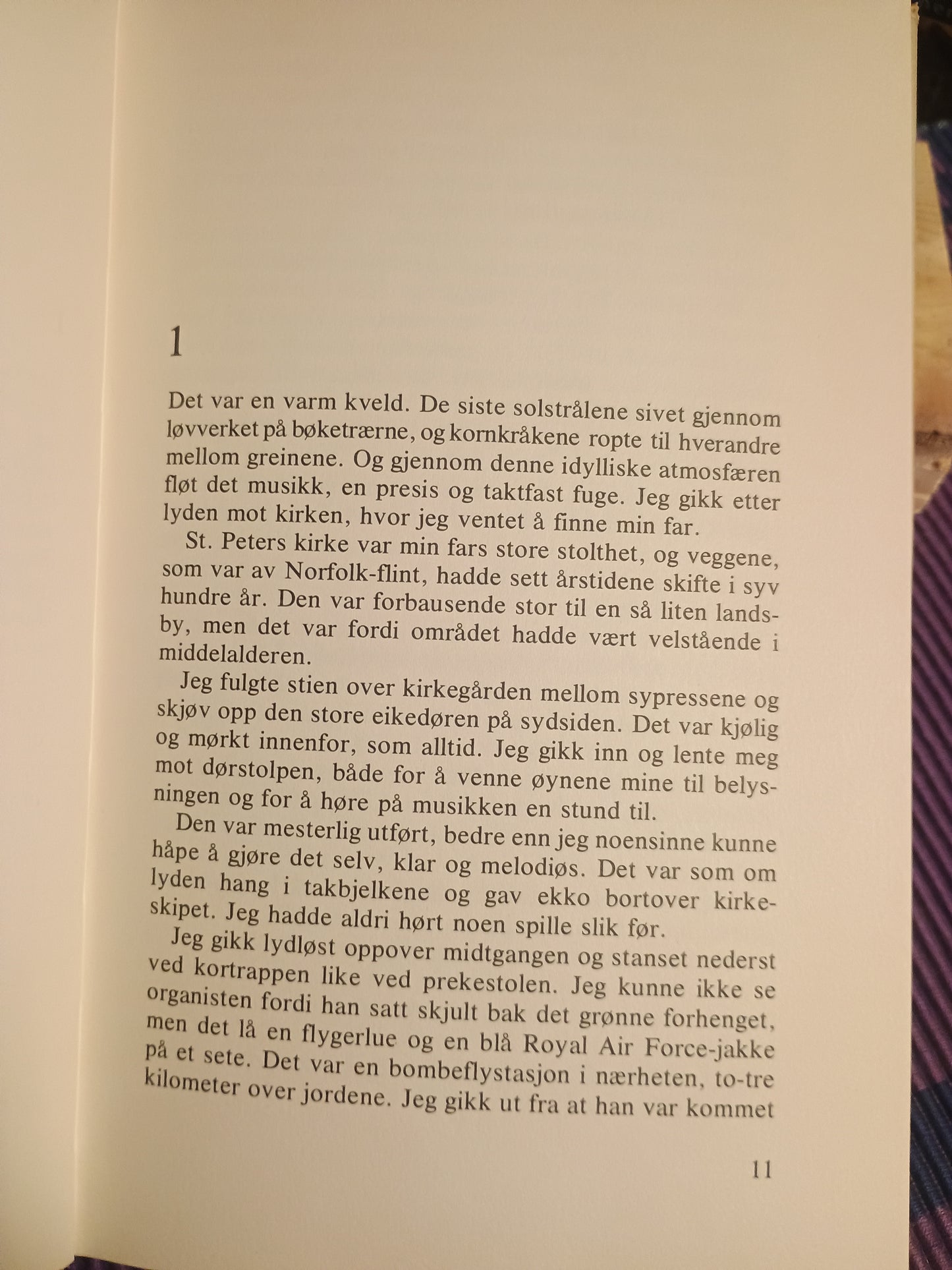 Det var en gang en sommer. Sarah Patterson