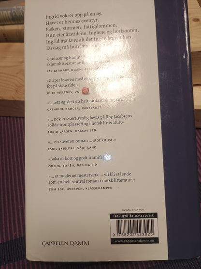 De usynlige, Roy Jacobsen