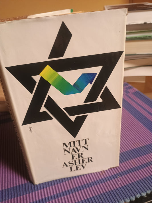 Mitt navn er Asher Lev, Chaim Potok