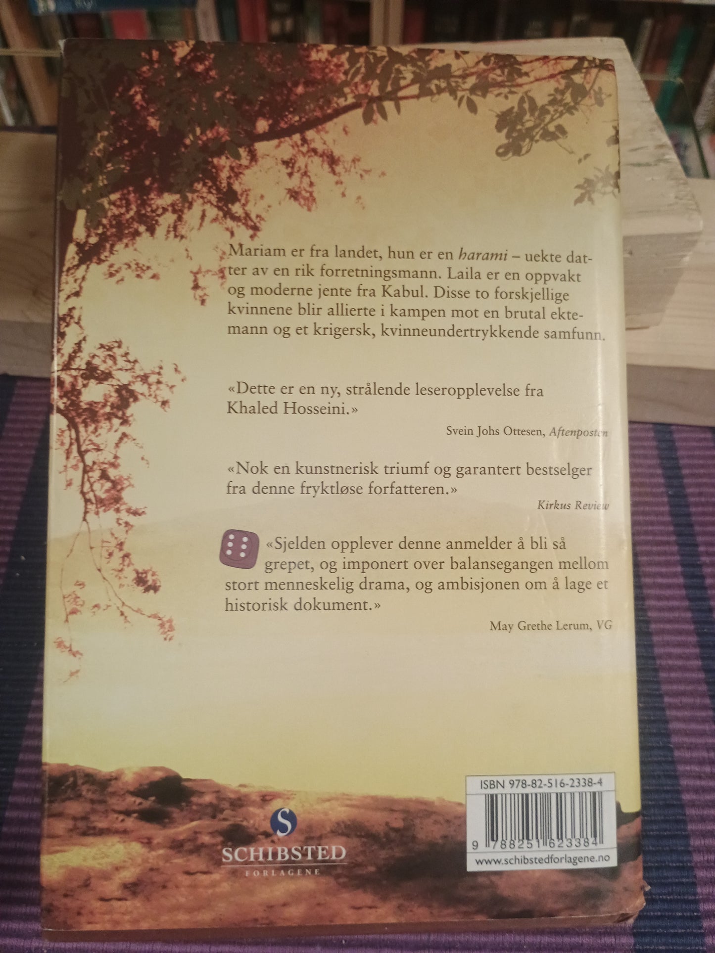Tusen strålende soler, Khaled Hosseini